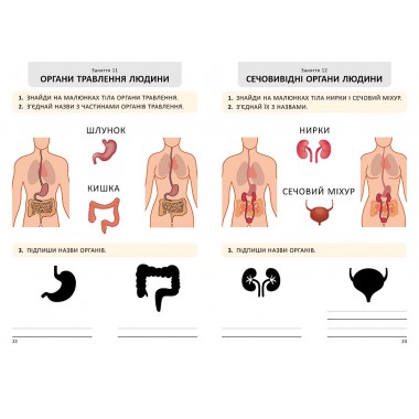 Я дорослішаю. Статеве виховання. Робочий зошит. Крок 2 Я дорослішаю. Статеве виховання. Робочий зошит. Крок 2