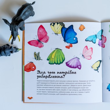 Узнавай о мире вместе с нами! Цвета в мире животных