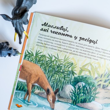 Узнавай о мире вместе с нами! Цвета в мире животных