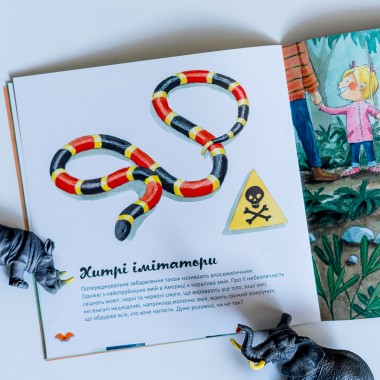 Узнавай о мире вместе с нами! Цвета в мире животных