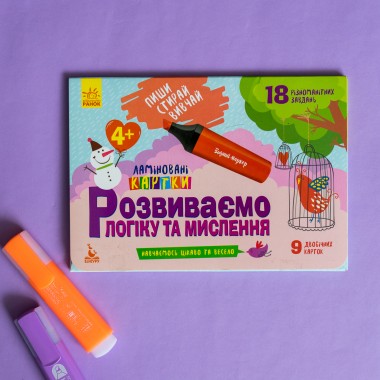 Пиши. Стирай. Изучай. Развиваем логику и мышление